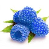 FW Blue Raspberry